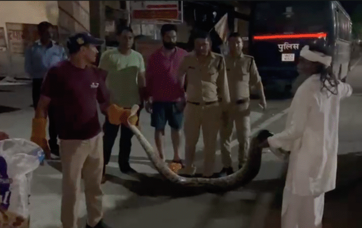 हरिद्वार: पुलिस वैन में घुसा 9 फीट का अजगर, वन विभाग ने किया सफल रेस्क्यू