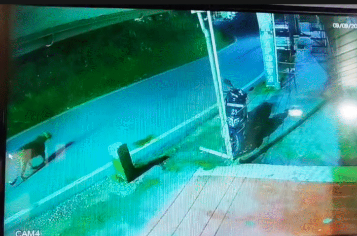 पिथौरागढ़ : बेरीनाग में गुलदारों की चहलकदमी से दहशत, सीसीटीवी में कैद हुई रात की हलचल